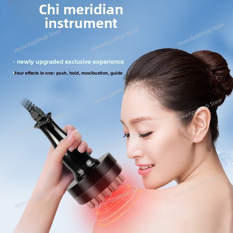 Vitality Meridian Instrument – – обзор и цена Spa Wellness Usa
